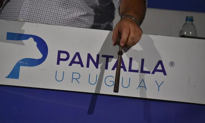El 221° remate de Pantalla Uruguay llega con una novedad: convenio con el BSE