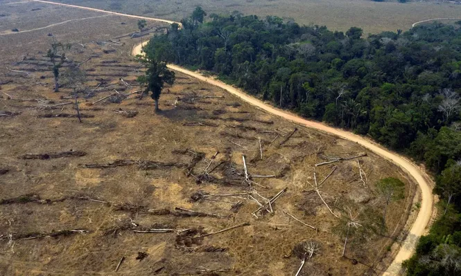 Escándalo en Brasil revela problemas del mercado de créditos de carbono en la Amazonia