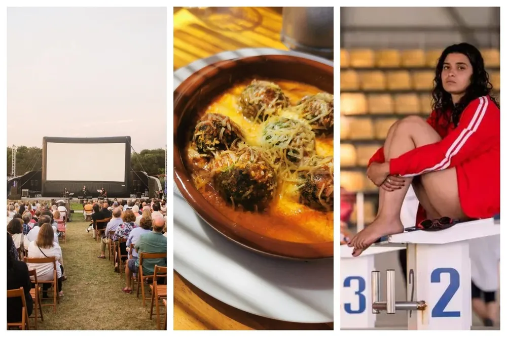 Cine, gastronomía y más, en el picnic de hoy