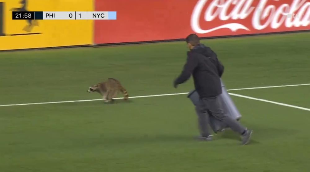 Luis Suárez no. El mapache fue el protagonista de la noche en la MLS