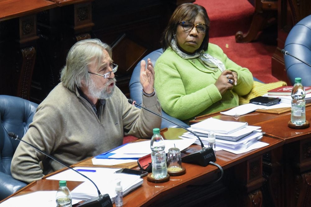 El senador del Frente Amplio (FA), Gustavo González