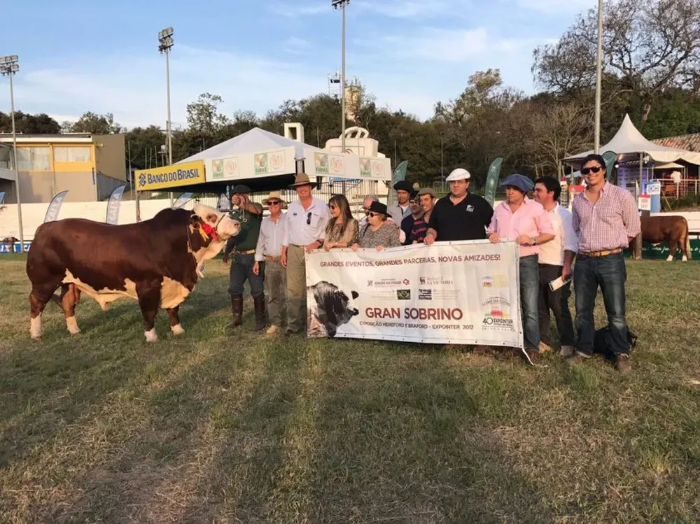 El toro de La Victoria, de Mattos, que fue el Tercer Mejor Senior
