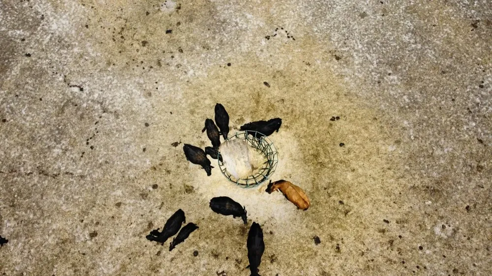 En 2020 hubo una sequía severa en casi todo el país