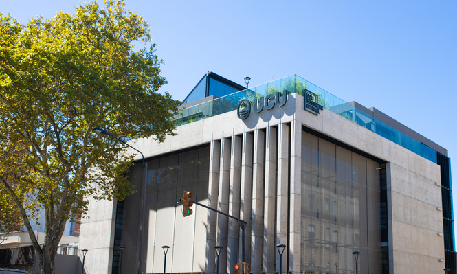 Una puerta al mundo: cuatro uruguayos convierten historias locales en enseñanza global