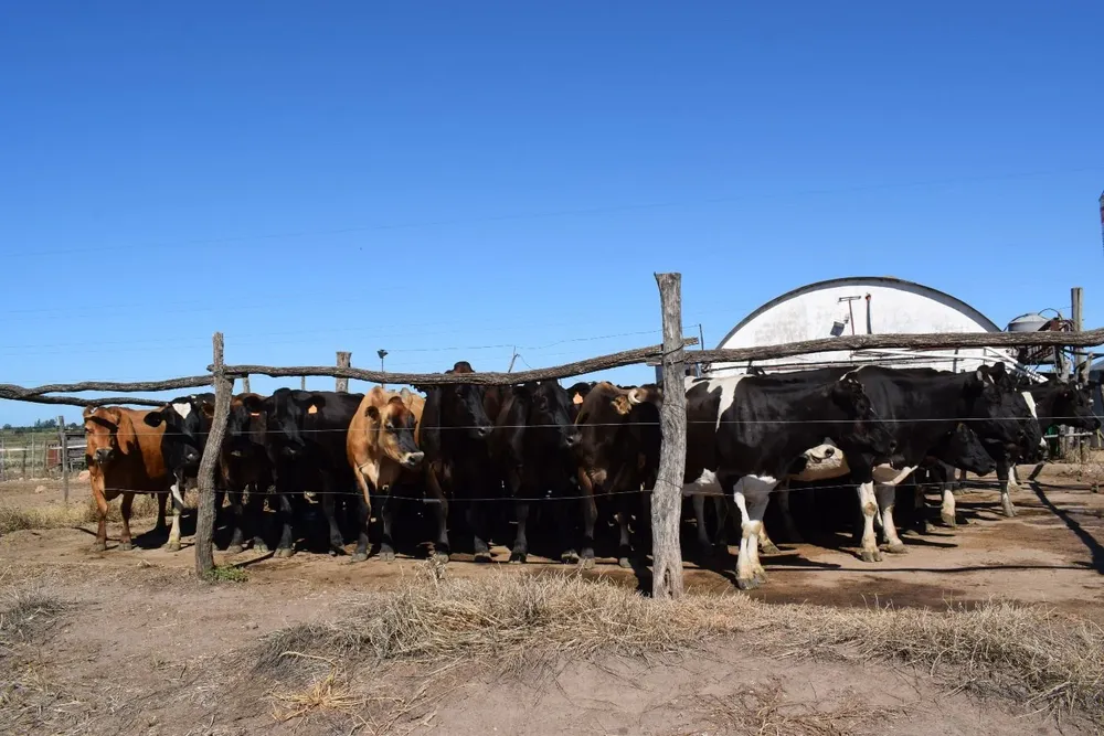 Los tamberos y un momento complicado que se extiende.