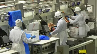 Dificultades para exportar carnes