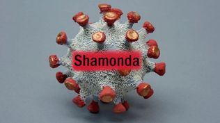Virus Shamonda