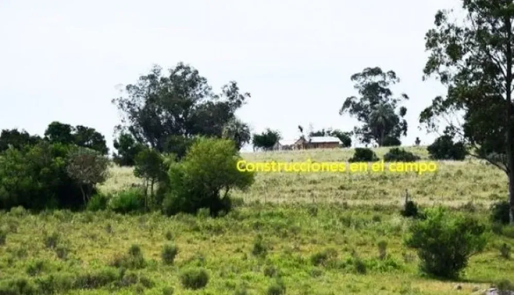 Campo a subastarse con sus respectivas construcciones