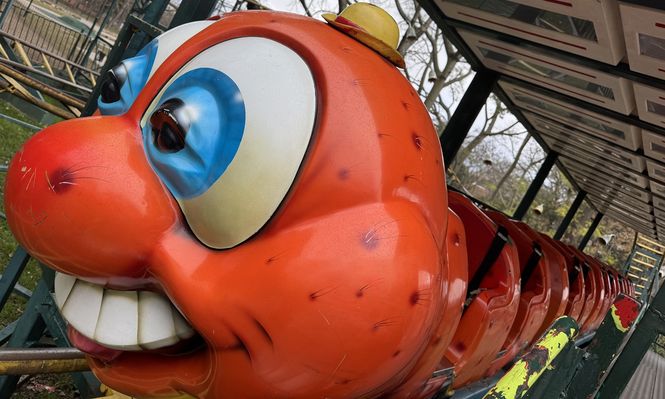 Gusano Manzana del Parque Rodó. (Archivo)