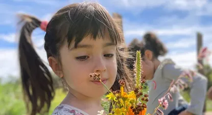 El Observador | 1660954291066.webp