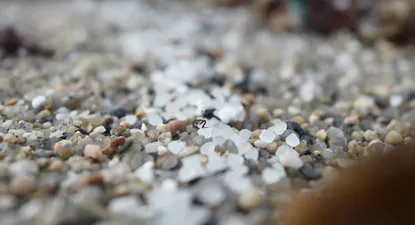 Pellets de plástico en playas gallegas