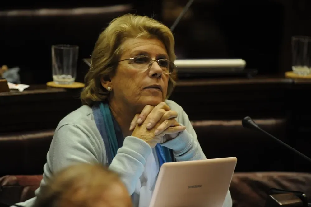 Diputada del Frente Amplio Daniela Payseé