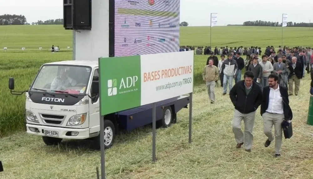 Una instancia útil para tomar mejores decisiones