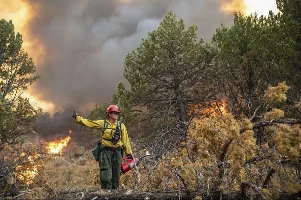 Bombero iniciando un incendio prescripto controlado para evitar incendios mayores.