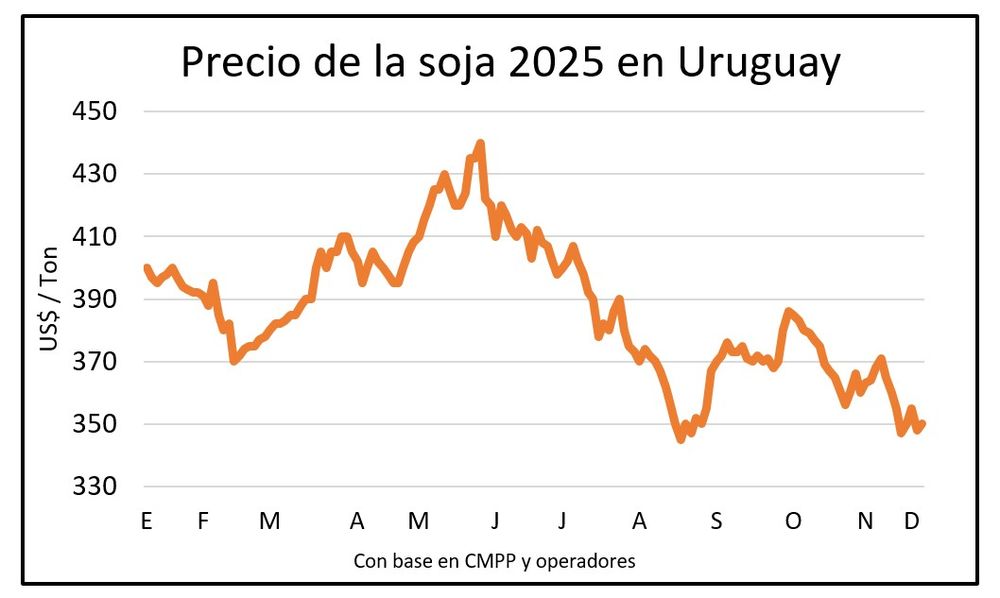 Mercado de granos, Blasina y Asociados.