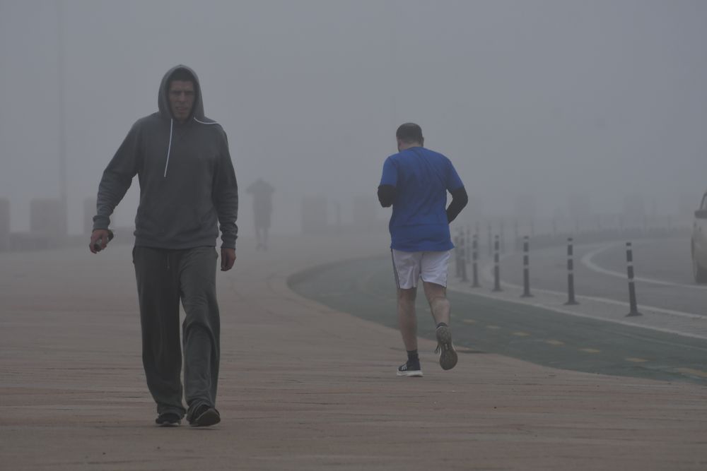 Niebla, humedad, invierno, el tiempo, el clima.