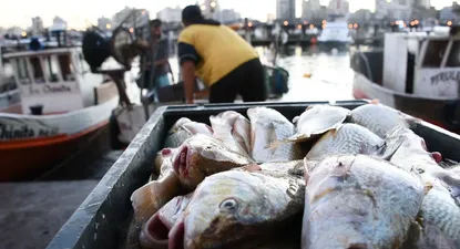 Barcos de 65 años y condiciones laborales del siglo 18: la denuncia del sindicato pesquero