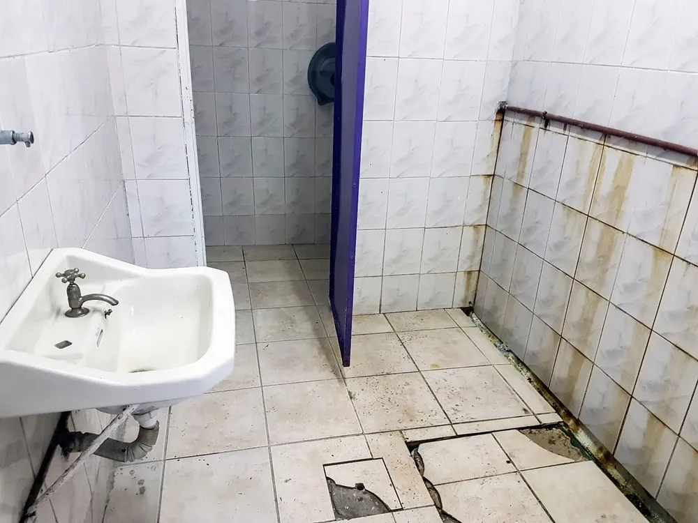 Baño del Franzini