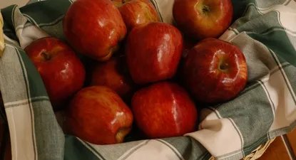 El Observador | 0003942077.webp