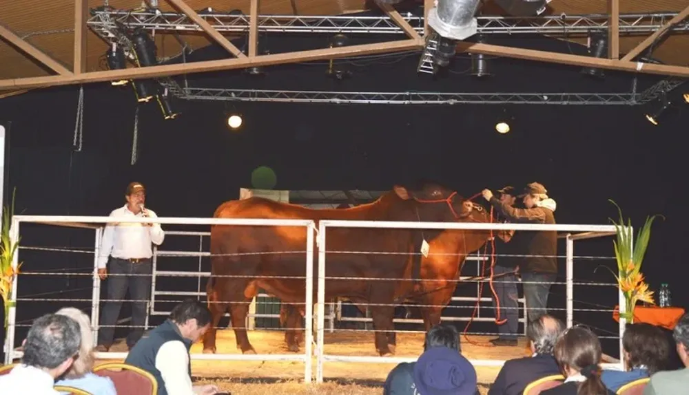 La raza fue presentada en la Expo Prado 2014
