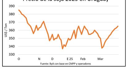 Uruguay: precio de la soja próximo a la cosecha.