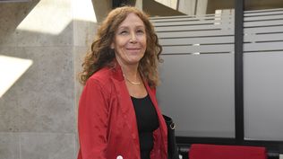 Constanza Moreira será la informante en el plenario del Senado
