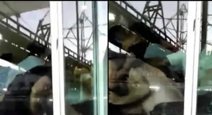 Dirigentes y jugadores de Gimnasia se pelearon en un palco