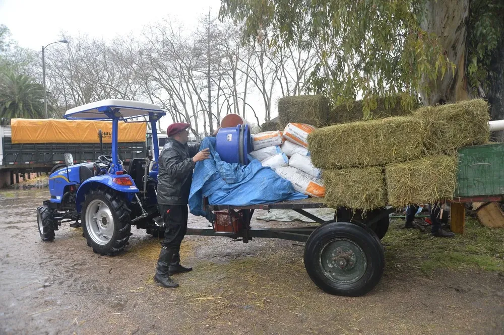 Ingreso de alimentos para los animales.