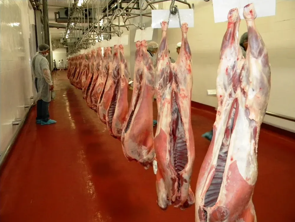 Hay firmeza en el precio de los ovinos para faena