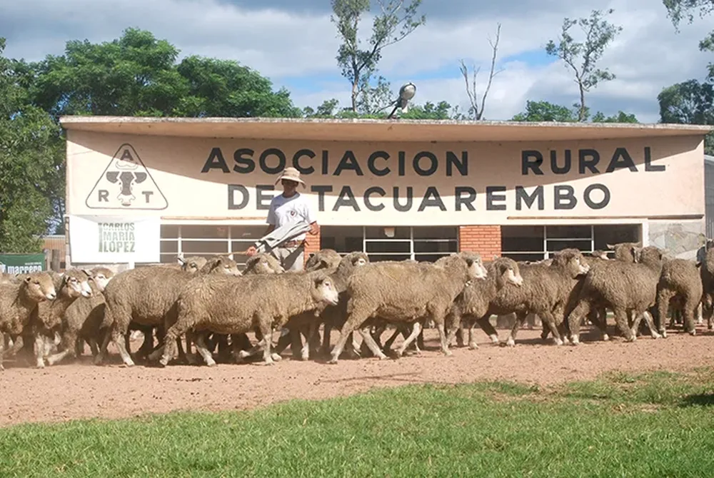 Se ofrecieron muy buenas majadas el viernes en Tacuarembó