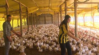 Tala: el caso de Adriana es un ejemplo de los casi 150 damnificados por el temporal que hubo en varias zonas durante Semana Santa, sobre todo en localidades de Canelones.