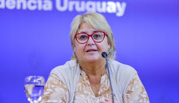 Caso Cardama: investigación administrativa sugiere sumariar al director de Recursos Financieros de la gestión de Javier García