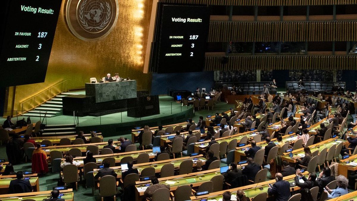 Argentina fue el único país en votar en contra de una resolución de la ...