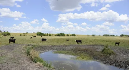 MGAP destinará US$ 8 millones para 5.400 productores afectados