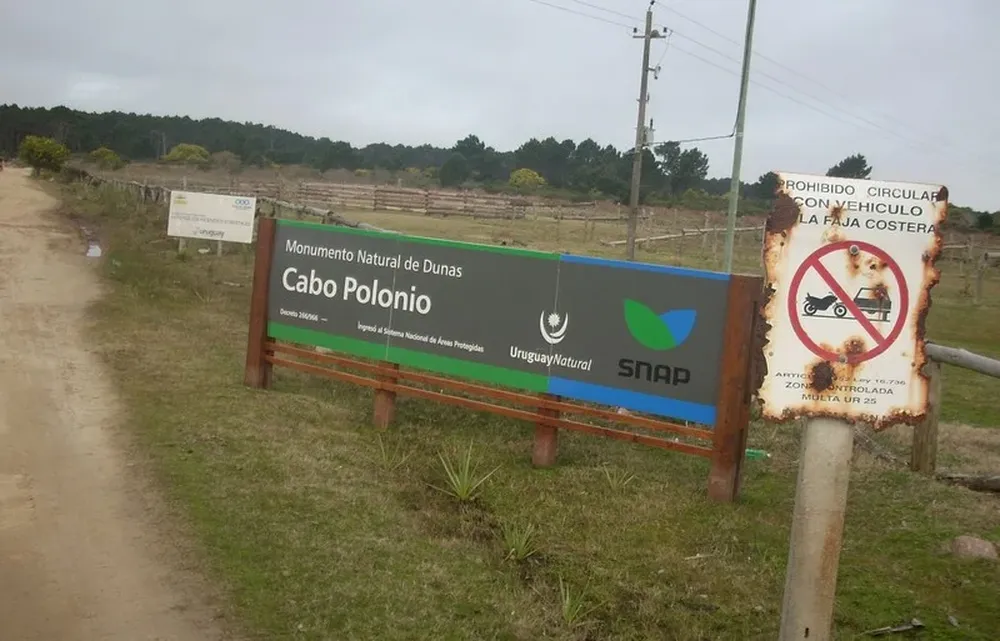 Menos del 1% del territorio uruguayo está designado como área protegida. En Corea, esta cifra asciende a 6, y en Nueva Zelanda al 20%