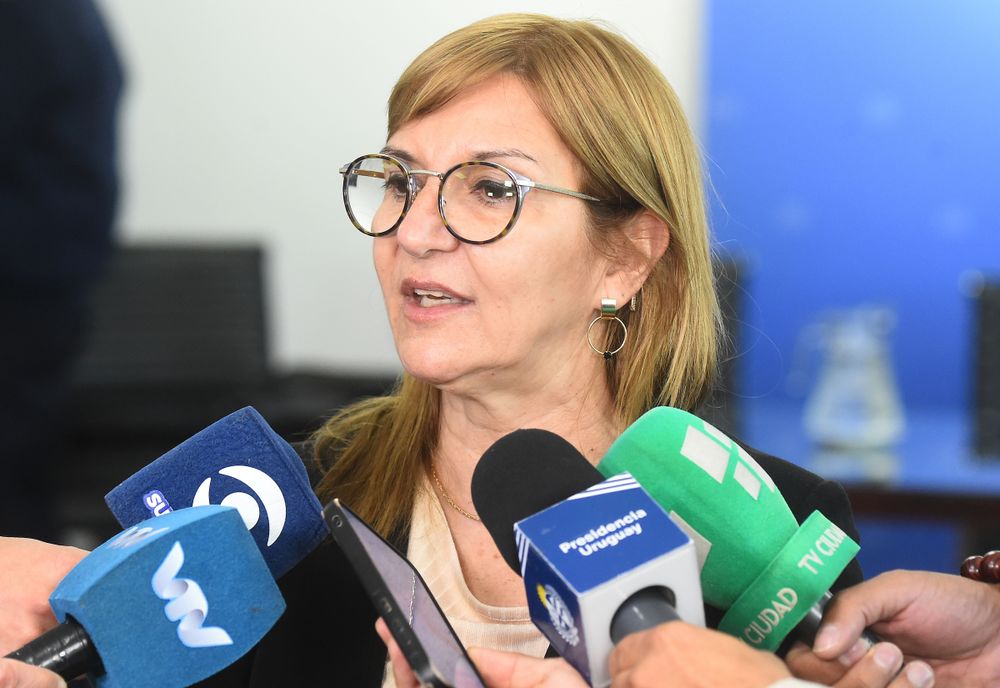 La directora del INR, Ana Juanche