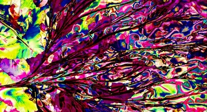 El Observador | 0000353351.webp