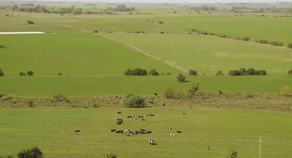 El proyecto, que aún es una idea, se le presentará próximamente al presidente de la República.