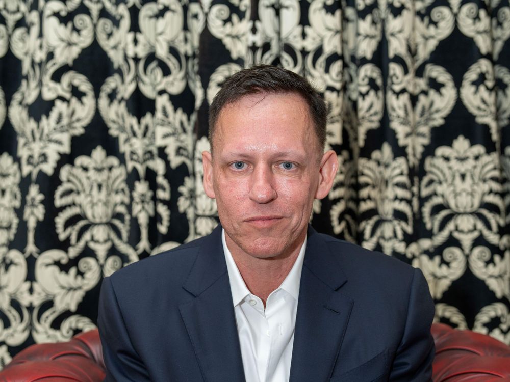 Peter Thiel, cofundador de PayPal con Musk, es señalado por Reich como parte del movimiento antidemocrático que gana poder e influencia en EE.UU.