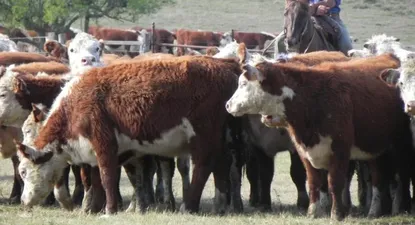 Retiro de la patronal aplaza firma de acuerdo salarial en el agro