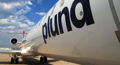 Gobierno quiere eliminar Pluna Ente a fin de año