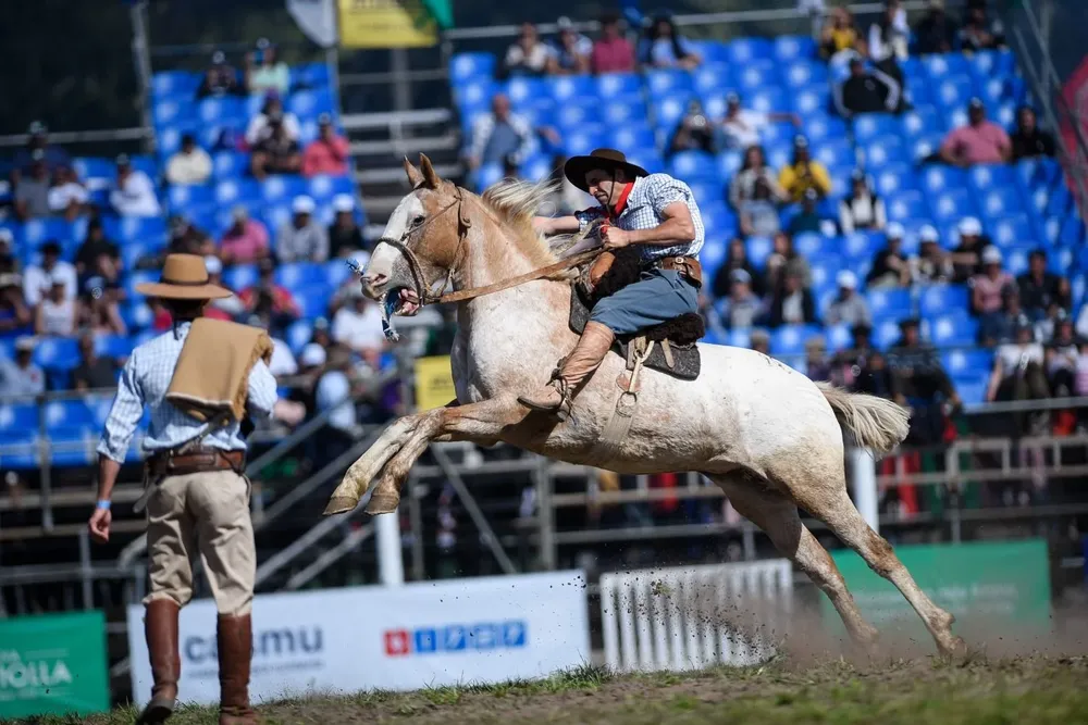 Jineteada en la Semana Criolla de Montevideo. (Archivo)