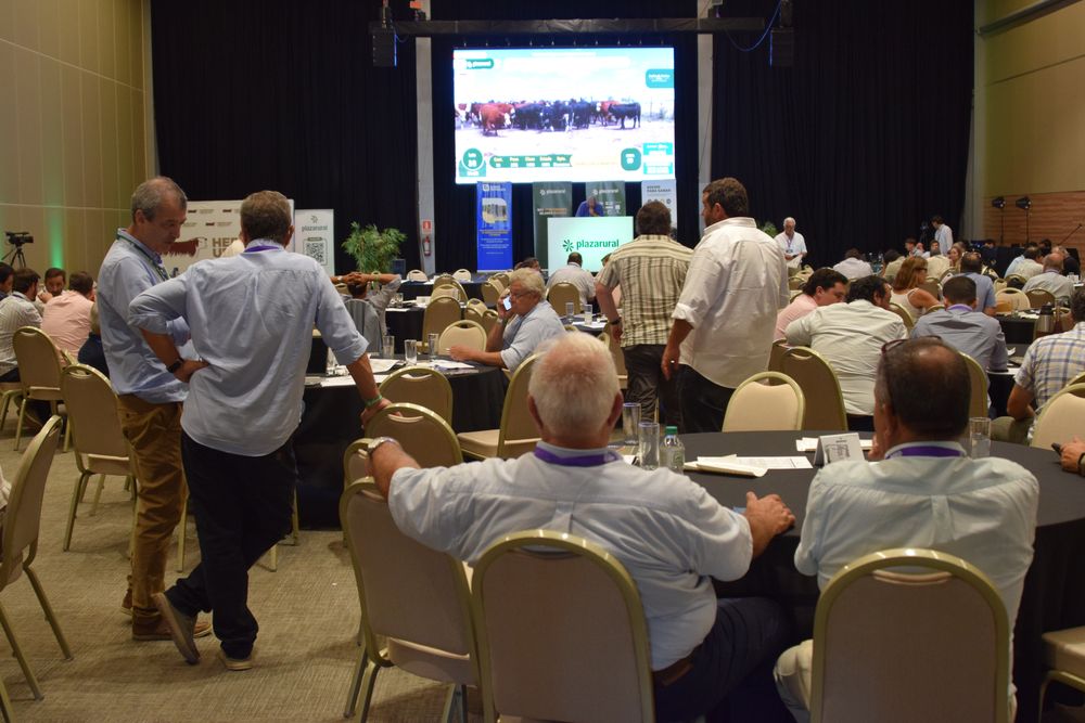 Ganado gordo con precios altos (en la foto, el remate de Plaza Rural, en Agro en Punta).