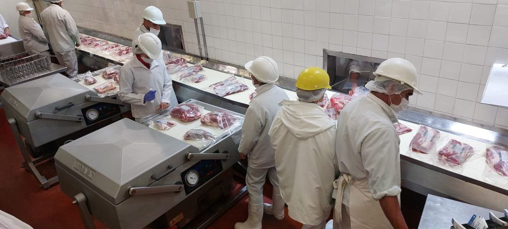 Frigorífico Casa Blanca, en Paysandú.