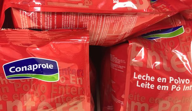 Denuncia de dumping en exportaciones de leche en polvo