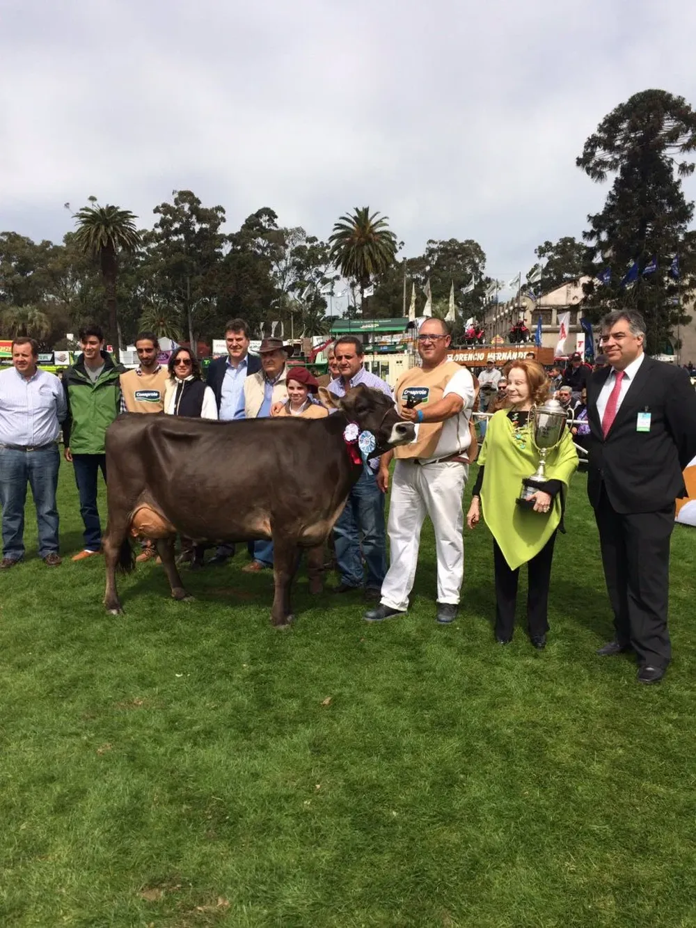 La Gran Campeona Jersey PI fue expuesta por Laetitia DArenberg