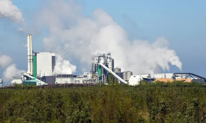 Pese a suba del PIB, Uruguay se aleja del pleno empleo, dice PwC