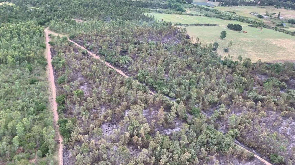 Vista aérea del campo afectado por el incendio en Pando