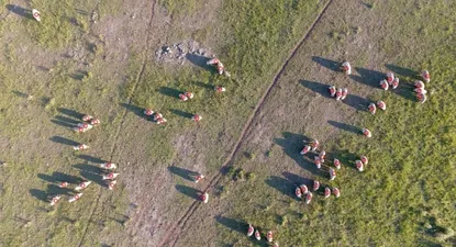 La articulación productiva genera bienes públicos que mejoran la competitividad