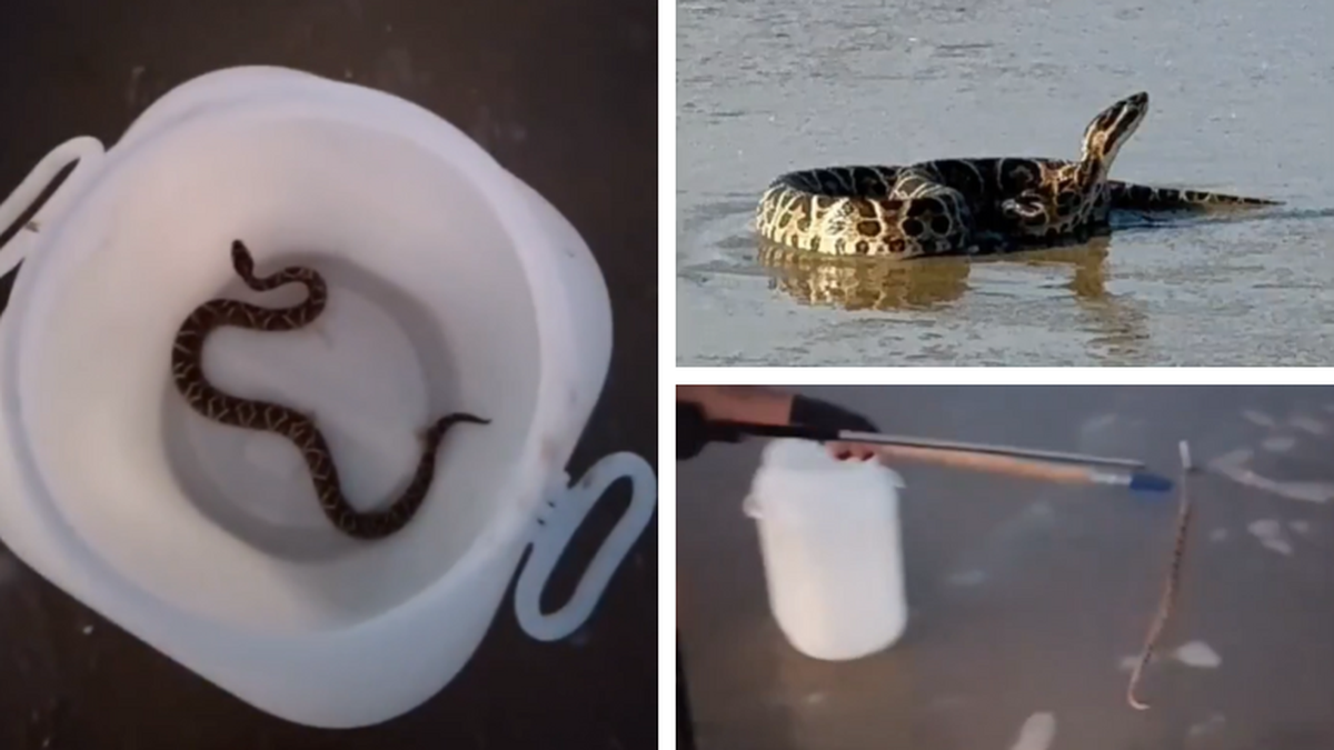 Imagen noticia completa